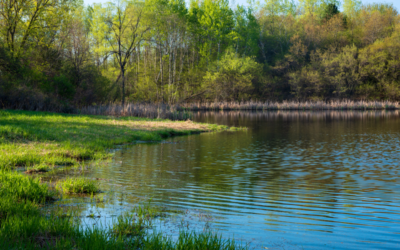 Journée Etang de pêche